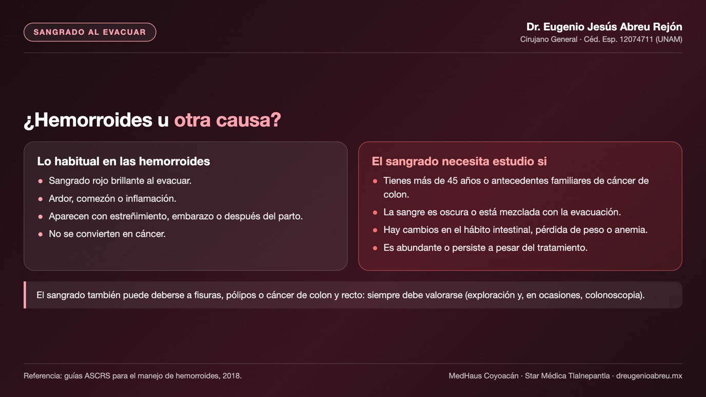 Lámina: síntomas habituales de las hemorroides y señales de que el sangrado necesita estudio