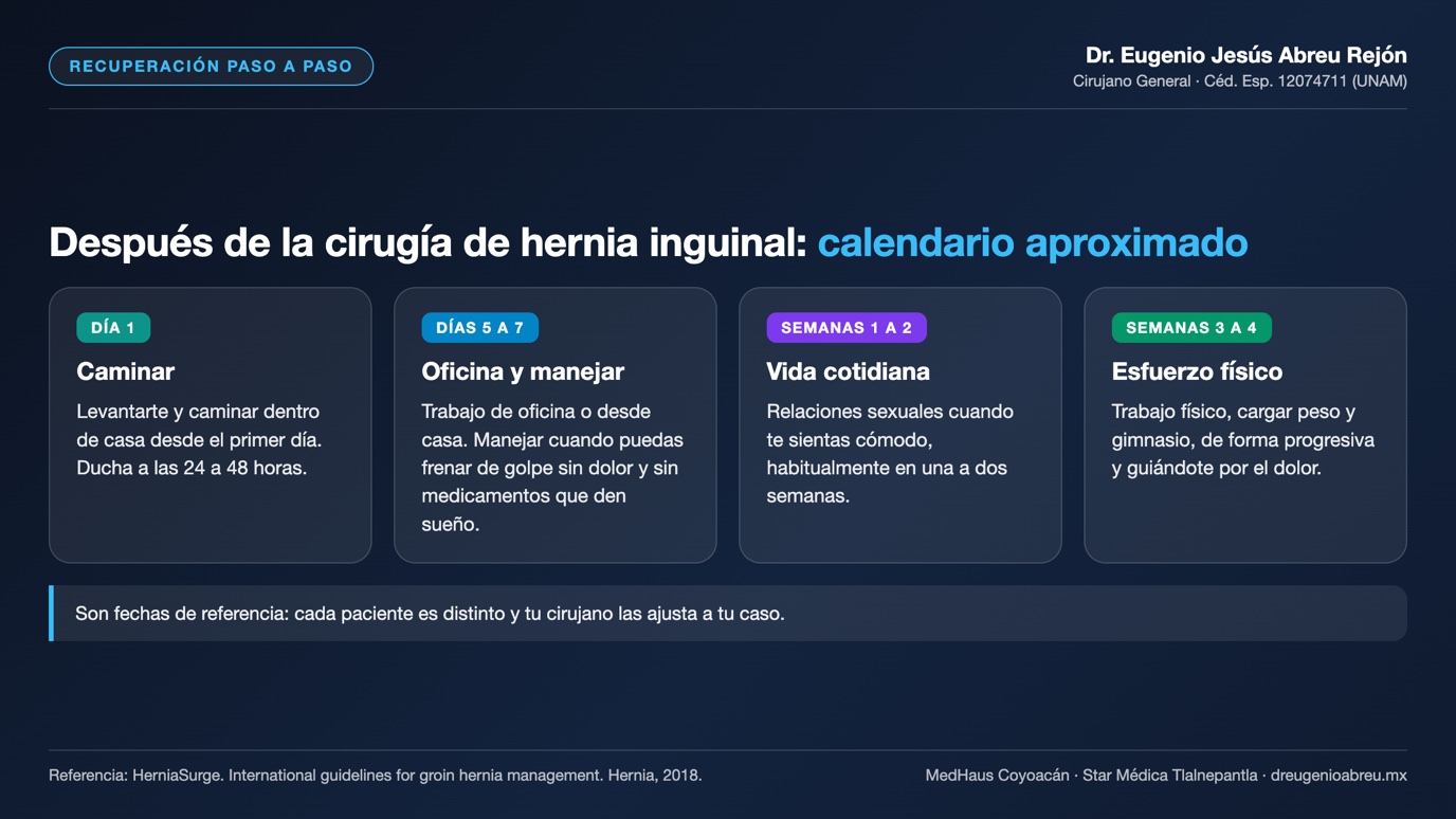 Calendario aproximado de recuperación tras la cirugía de hernia inguinal, del día 1 a las semanas 3 a 4