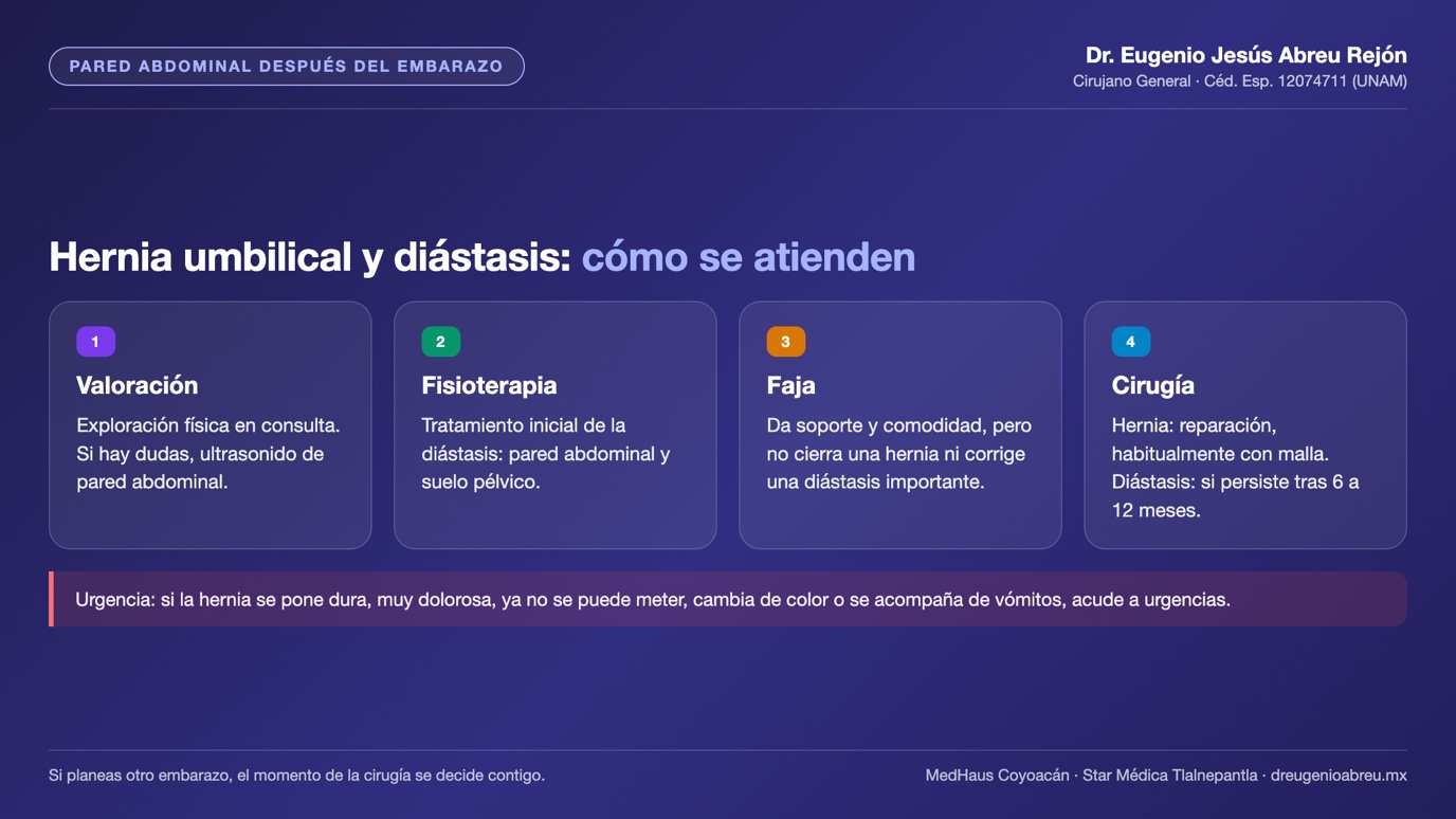 Lámina: valoración, fisioterapia, faja y cirugía en la hernia umbilical y la diástasis después del embarazo