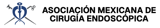 Asociación Mexicana de Cirugía Endoscópica (AMCE)